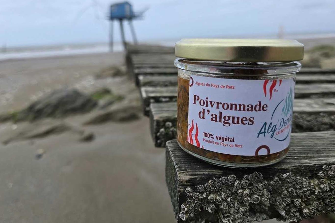 Conserve d'haricots de mer