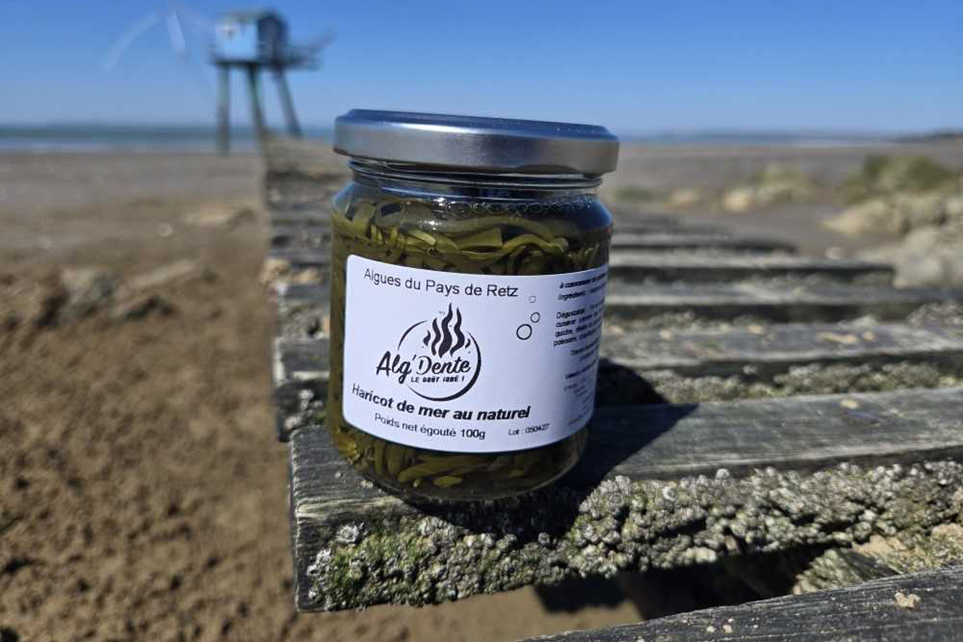 Conserve d'haricots de mer